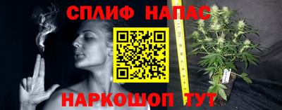 прущий лед Брянск