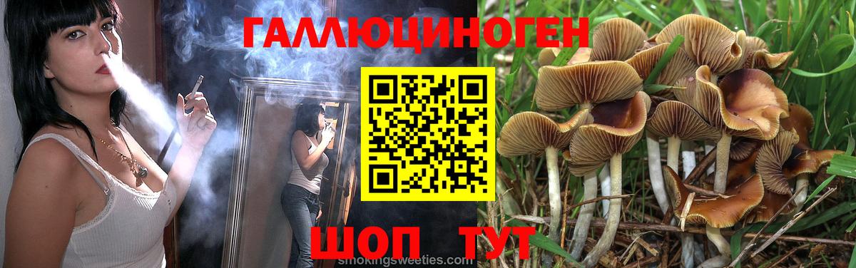 Псилоцибиновые грибы Psilocybine cubensis Алексеевка